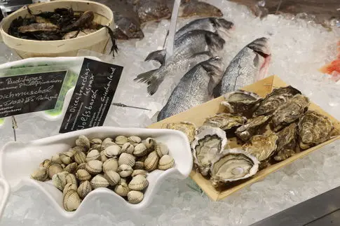 Oyster Blood Proteins' Potential in Fighting Antibiotic-Resistant Bacteria