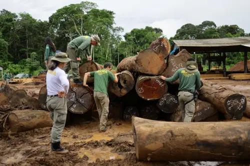 Brazil Cracks Down on Illegal Logging in Extensive Amazon Raids