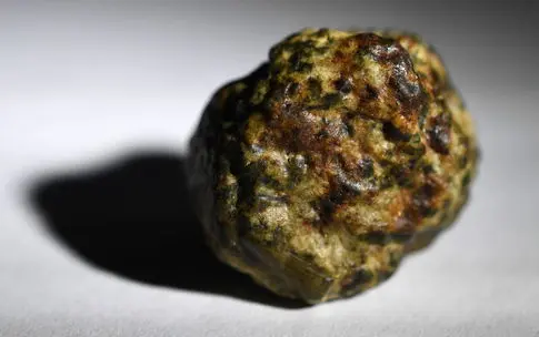 First Meteorite Strike Captured on Canadian Doorbell Camera