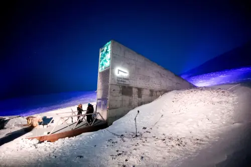Arctic Doomsday Seed Vault Receives Over 14,000 New Samples