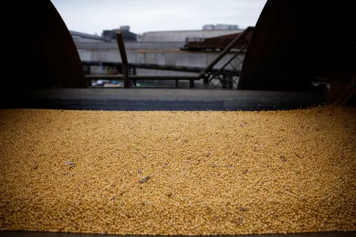 Reversal of Grain Production Tax Expected in Brazil's Para State