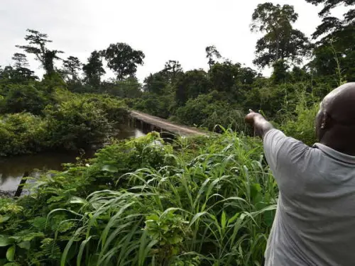 Study Reveals Humans Inhabited African Rainforests 150,000 Years Ago