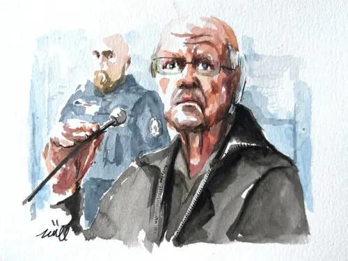 Inspired by Gisele Pelicot: A Victim's Testimony in a French Child Rape Trial