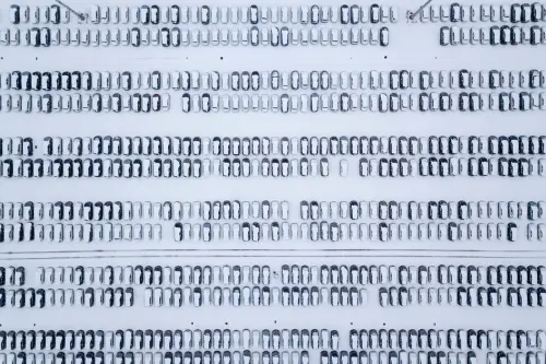 Mandatory Regulatory Approval for Upgrading Autonomous Driving Software in China