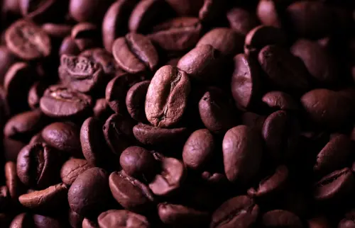 Global Coffee Trade Halting Due to Severe Price Increases