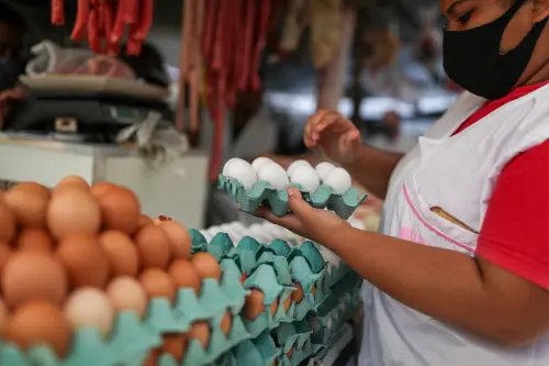 Surge in Brazilian Egg Exports Driven by Increased U.S. Demand