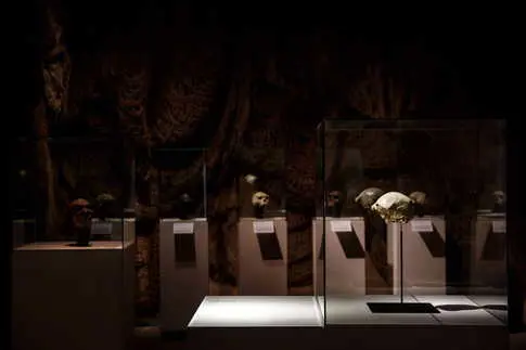 1.4-Million-Year-Old Fossil Unveils Western Europe's Oldest Human Face