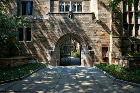 Yale Law Scholar Placed on Leave for Alleged Connection to Terror Group