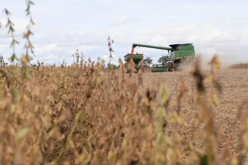 Fuel Shortage Puts Bolivia's Soy Farmers in Peril