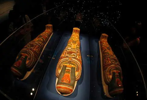 UK Parliament's Effort to Cease Display and Trade of Colonial-Era Human Remains