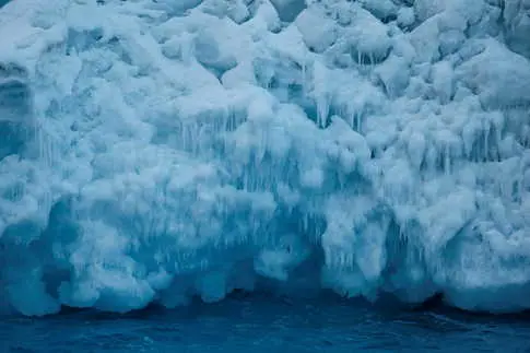 Antarctic Iceberg Calving Reveals a Flourishing Hidden Ecosystem