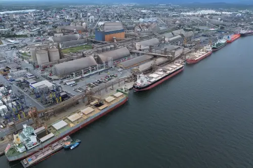 Economists Suggest Brazil Could Benefit from US Tariffs